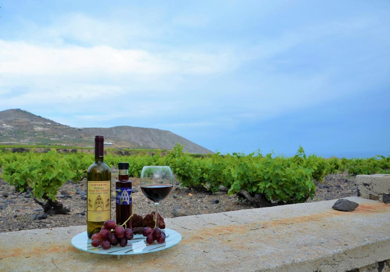 Vineyards Hill Villa Megalochori  Eksteriør bilde